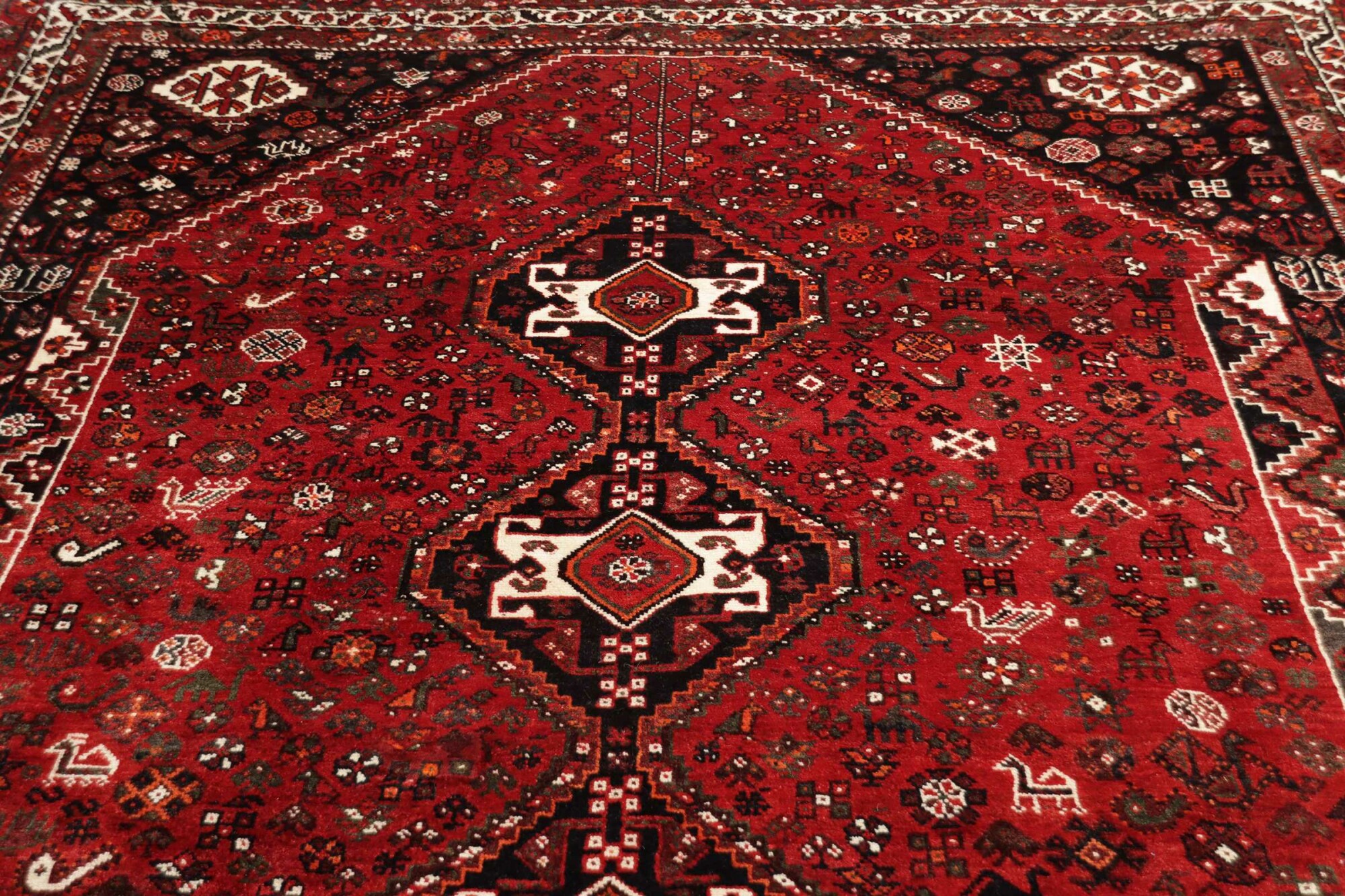 Shiraz 224 x 315 cm